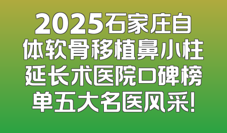 2025石家庄自体软骨移植鼻小柱延长术医院口碑榜单五大名医风采！