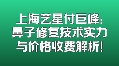 上海艺星付巨峰：鼻子修复技术实力与价格收费解析！