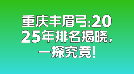重庆丰眉弓：2025年排名揭晓，一探究竟！