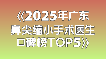 《2025年广东鼻尖缩小手术医生口碑榜TOP5》