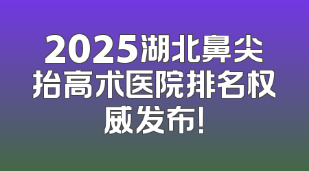 2025湖北鼻尖抬高术医院排名权威发布！