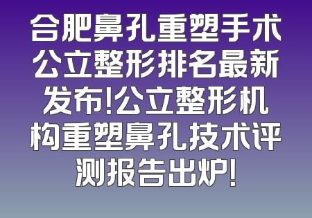 合肥鼻孔重塑手术公立整形排名最新发布！公立整形机构重塑鼻孔技术评测报告出炉！
