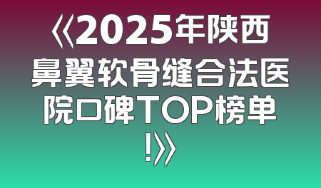 《2025年陕西鼻翼软骨缝合法医院口碑TOP榜单！》