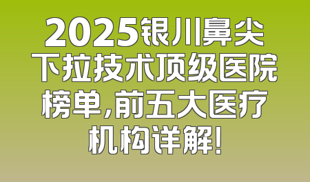 2025银川鼻尖下拉技术顶级医院榜单，前五大医疗机构详解！
