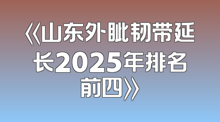《山东外眦韧带延长2025年排名前四》