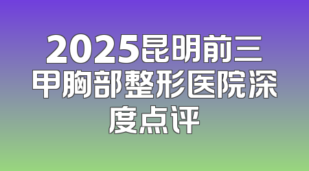 2025昆明前三甲胸部整形医院深度点评