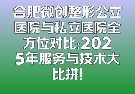 合肥微创整形公立医院与私立医院全方位对比：2025年服务与技术大比拼！