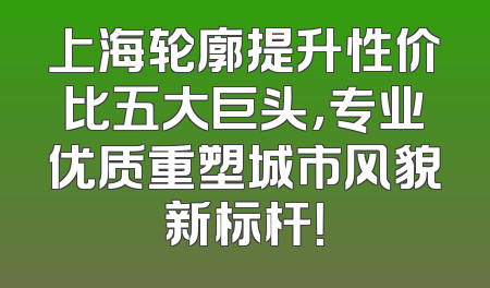上海轮廓提升性价比五大巨头，专业优质重塑城市风貌新标杆！