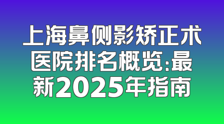 上海鼻侧影矫正术医院排名概览：最新2025年指南