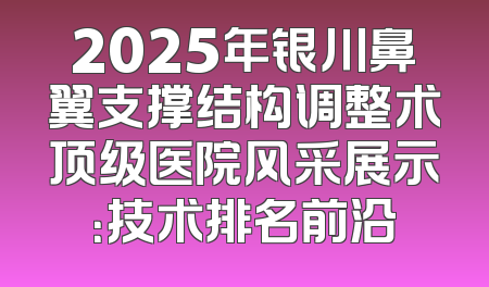 2025年银川鼻翼支撑结构调整术顶级医院风采展示：技术排名前沿