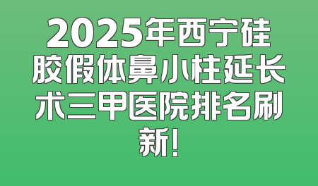 2025年西宁硅胶假体鼻小柱延长术三甲医院排名刷新！