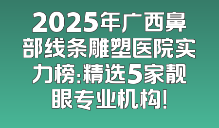 2025年广西鼻部线条雕塑医院实力榜：精选5家靓眼专业机构！