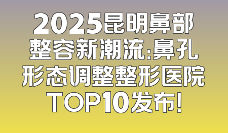2025昆明鼻部整容新潮流：鼻孔形态调整整形医院TOP10发布！