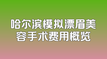 哈尔滨模拟漂眉美容手术费用概览