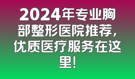 2024年专业胸部整形医院推荐，优质医疗服务在这里！