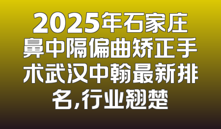 2025年石家庄鼻中隔偏曲矫正手术武汉中翰最新排名，行业翘楚