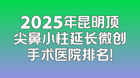 2025年昆明顶尖鼻小柱延长微创手术医院排名！