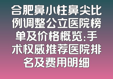 合肥鼻小柱鼻尖比例调整公立医院榜单及价格概览：手术权威推荐医院排名及费用明细
