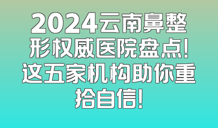 2024云南鼻整形权威医院盘点！这五家机构助你重拾自信！