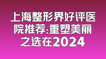 上海整形界好评医院推荐：重塑美丽之选在2024