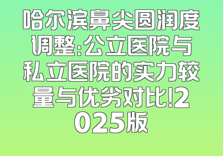 哈尔滨鼻尖圆润度调整：公立医院与私立医院的实力较量与优劣对比！2025版
