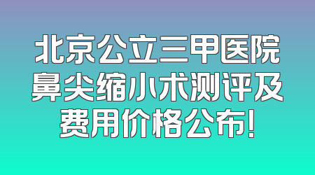 北京公立三甲医院鼻尖缩小术测评及费用价格公布！