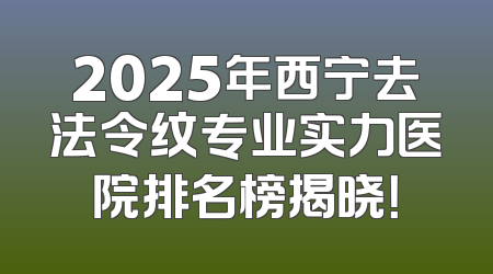 2025年西宁去法令纹专业实力医院排名榜揭晓！