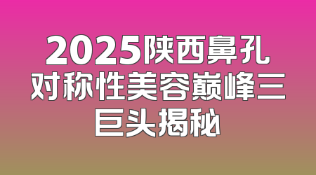 2025陕西鼻孔对称性美容巅峰三巨头揭秘