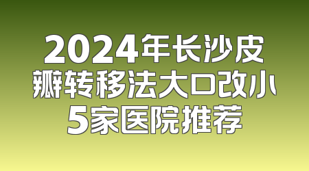 2024年长沙皮瓣转移法大口改小5家医院推荐