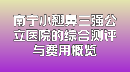 南宁小翘鼻三强公立医院的综合测评与费用概览