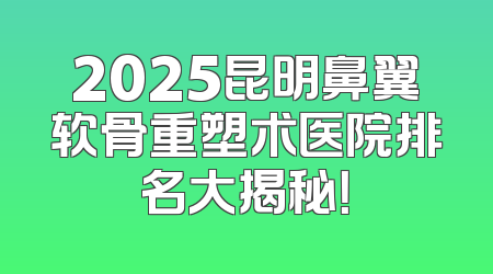 2025昆明鼻翼软骨重塑术医院排名大揭秘！