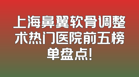 上海鼻翼软骨调整术热门医院前五榜单盘点！