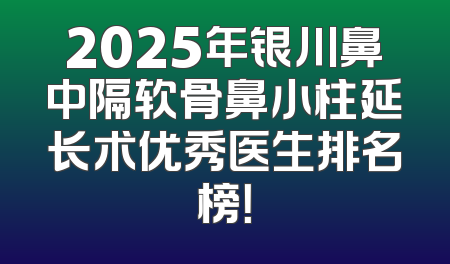 2025年银川鼻中隔软骨鼻小柱延长术优秀医生排名榜！