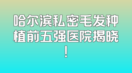 哈尔滨私密毛发种植前五强医院揭晓！