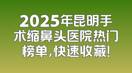 2025年昆明手术缩鼻头医院热门榜单，快速收藏！
