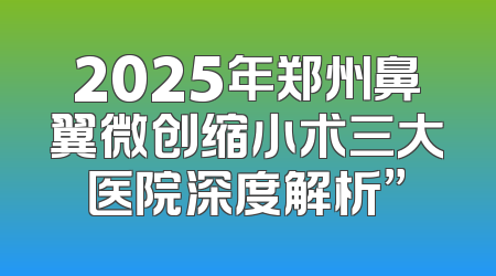 2025年郑州鼻翼微创缩小术三大医院深度解析”