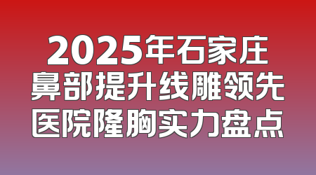 2025年石家庄鼻部提升线雕领先医院隆胸实力盘点
