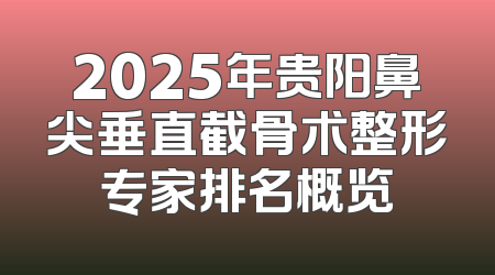 2025年贵阳鼻尖垂直截骨术整形专家排名概览