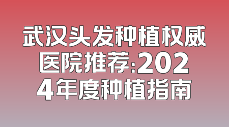 武汉头发种植权威医院推荐：2024年度种植指南