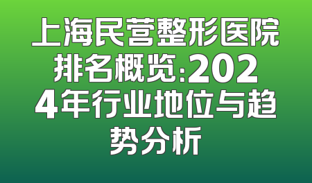 上海民营整形医院排名概览：2024年行业地位与趋势分析