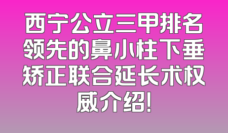 西宁公立三甲排名领先的鼻小柱下垂矫正联合延长术权威介绍！