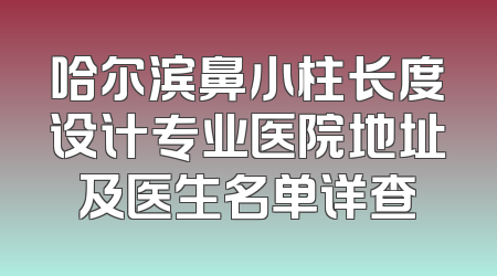 哈尔滨鼻小柱长度设计专业医院地址及医生名单详查