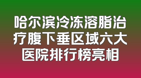 哈尔滨冷冻溶脂治疗腹下垂区域六大医院排行榜亮相