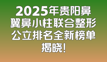 2025年贵阳鼻翼鼻小柱联合整形公立排名全新榜单揭晓！