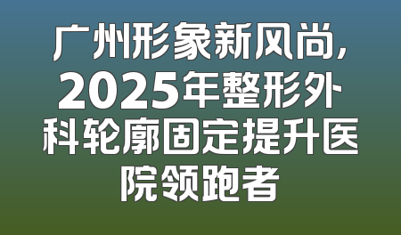 广州形象新风尚，2025年整形外科轮廓固定提升医院领跑者