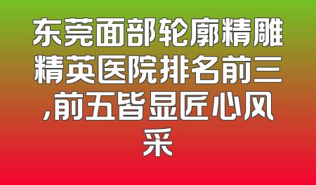 东莞面部轮廓精雕精英医院排名前三，前五皆显匠心风采