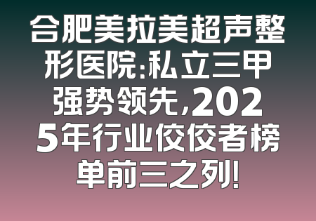 合肥美拉美超声整形医院：私立三甲强势领先，2025年行业佼佼者榜单前三之列！