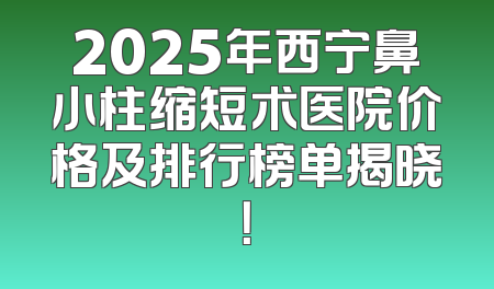 2025年西宁鼻小柱缩短术医院价格及排行榜单揭晓！