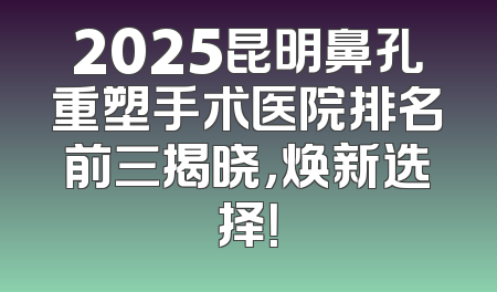 2025昆明鼻孔重塑手术医院排名前三揭晓，焕新选择！