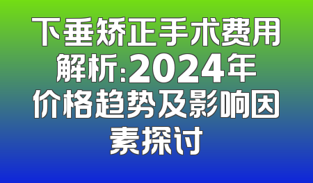 下垂矫正手术费用解析：2024年价格趋势及影响因素探讨